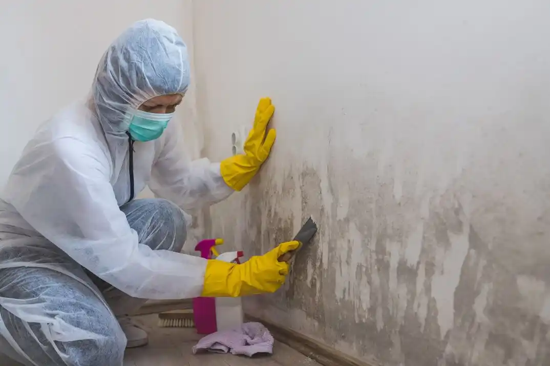 water damage restoration service Shenorock